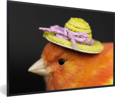 Produktbild von MuchoWow® Gerahmtes Poster Vogel - Hut - Orange 30x20 cm - Poster mit Schwarzem Bilderrahmen Wandposter Rahmen Foto Bilder - Kunstdruck - Bild-Poster