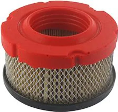 Image de Filtre à air adaptable pour les modèles Briggs & Stratton 10t802, 10t812, série 9, série 10, série 450, série 550, série 600, 3 à 5
