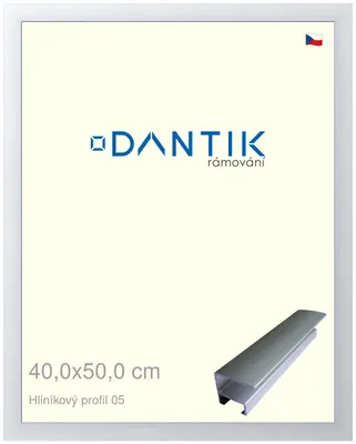 Zdjęcie produktu dla Rama DANTIK 40x50 | Profil ALU 7005 Srebrny mat (Plexi Clear)