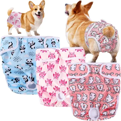 Produktbild von Set mit 3 wiederverwendbaren Hundehosen für Hündinnen