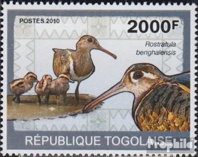 Produktbild von Briefmarken Togo 2010 Mi 3438 (kompl.Ausg.) postfrisch Vögel