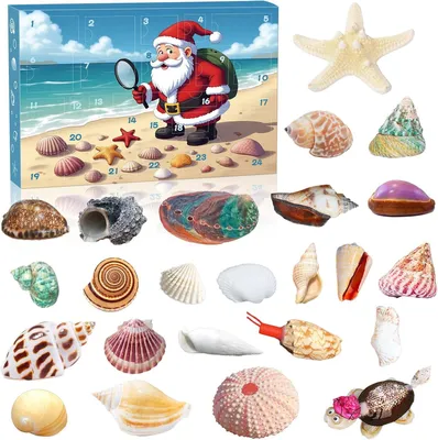 Produktbild von Muschel-Adventskalender 2025 für Kinder, 24 Tage Natürliche Muscheln Sammlung, Meeresentdecker Weihnachtskalender Jungen & Mädchen Geschenkideen