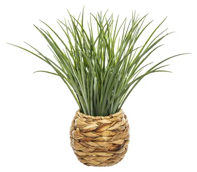 Produktbild von Atmosphera Jj100 Deco Green Herbal Collection Künstliche Pflanze Beige  Beige One Size
