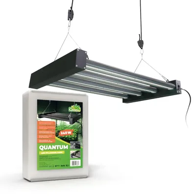 Produktbild von LED Vollspektrum Pflanzenleuchte 'Quantum' 240 W, dimmbar, mit Schaltzeituhr - Grow light