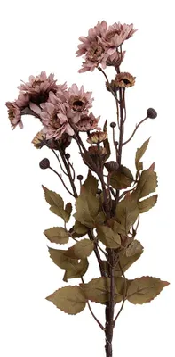 Immagine prodotto di Clayre & Eef Fiore artificiale 6x10x80 cm Rosa in plastica