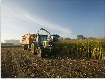 Produktbild von MuchoWow® Poster Traktor - Anhänger - Mais - Grün - Landleben 120x90 cm - Wandbild