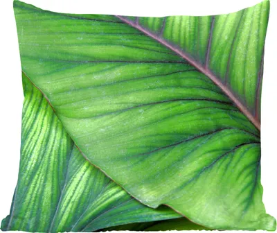 Produktbild von MuchoWow® Zierkissen Sofakissen Wohnzimmer Dekokissen 50x50 cm Foto von großen tropischen botanischen Blättern - Komfort - Sofakissen