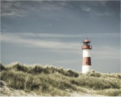 Produktbild von Wallario Poster - Leuchtturm auf der Düne am Strand, Kunstdruck Größe: 40 x 50 cm