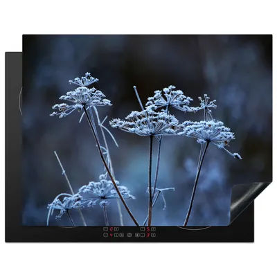 Produktbild von KitchenYeah© Herdabdeckplatte Gefrorene Kuhpetersilie , 77x59cm, Küche Deko, Glaskeramikkochfeld Herdabdeckung, Abdeckplatte fùr Kochfeld
