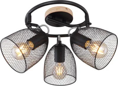 Image de JOSINA lampe spot 54034-3 Globo