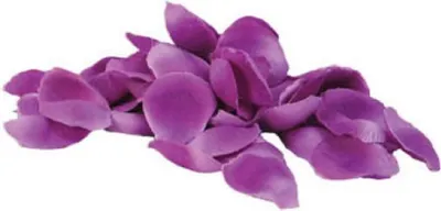 Produktbild von Rosenblätter aus Textil ca. 50 St. Rosen Blütenblätter Violett