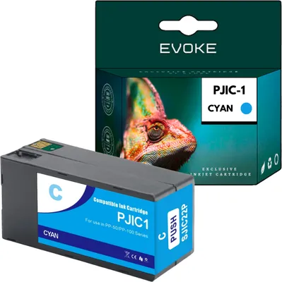 Image de Cartouche pour Epson PJIC1 ️️ Discproducer PP 100N11 PP 50II PP100II PP100III ️