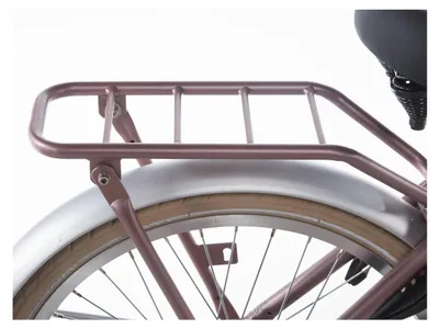 Produktbild von Alpina Achterdrager 20 Frachtholz Rose Matt