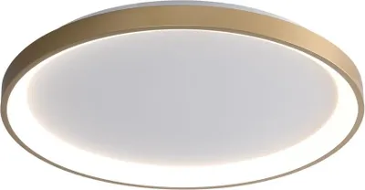 Obrázok produktu pre LED 40W stropné svietidlo RADEN CLN-3151-S-GD Italux