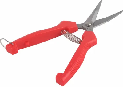 Obrázek produktu pro Zahradnické nůžky Zahradnické nůžky Ovocná réva