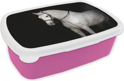 Produktbild von KitchenYeah® Lunchbox Brotzeit Brotdose 17x11 cm Pferd - Weiß - Schwarz Kinder Brotzeitdose - Lunchpaket - Brotkasten  - Sandwich Box