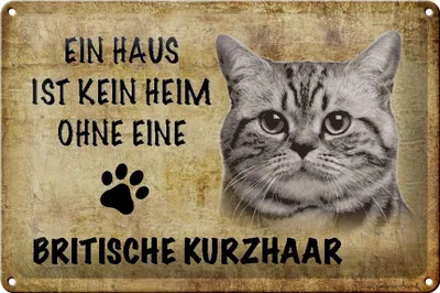 Produktbild von Blechschild Spruch 30x20cm Britische Kurzhaar ohne kein Heim