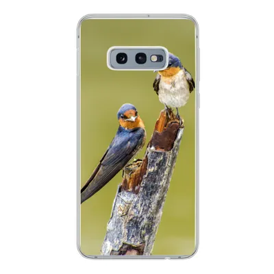 Produktbild von MuchoWow® Handyhülle Schutzhülle Hülle für Samsung Galaxy S10e Vögel - Zweig - Porträt Silikon Softcase Handy Hülle - Handy