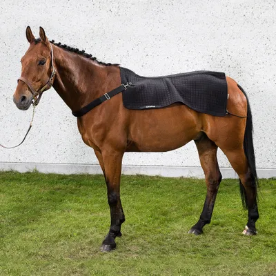 Image de Back on Track chauffe-dos Royal - noir