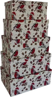 Produktbild von Weihnachtsgeschenkkarton Vögel - 5 tlg. rechteckig.