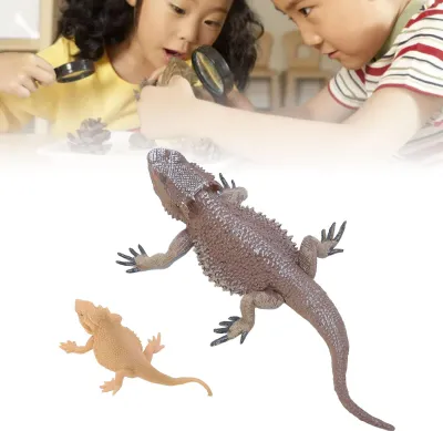 Produktbild von Eidechse-Lebenszyklus-Figur, Spielzeug, pädagogisch, interaktiv, lebensecht, simuliertes Reptilientier-Set für die Schule zu Hause