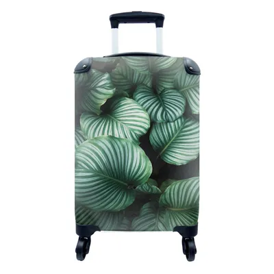Produktbild von MuchoWow® Koffer Handgepäck Trolley Rollkoffer Kleine Reisekoffer mit 4 Rollen - Blätter - Pflanzen - Porträt - Cabin Size < 55x40x23 cm & 55x40x20 cm - Fotokoffer - Kabinenkoffer - Boardgepäck - Reise-Box - Reisekoffer - Reisegepäck - Koffer mit Bild - Trolley für Kinder
