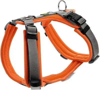 Produktbild von Hunter Geschirr Maldon Up, Hund, Halftergeschirr, S-M, Grau, Orange, Netz, Polyester, 2,2 cm