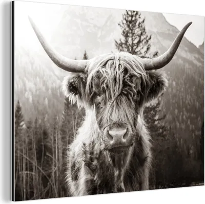 Obrázek produktu pro Nástěnná dekorace Kovový kovový obraz Wall Art 120x90cm Skotský horal - Černobílý Muchowow Hliníkové obrazy