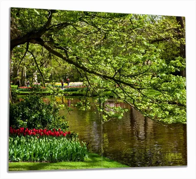 Produktbild von Wallario Herdabdeckplatte aus Glas, Größe 60 x 52 cm 2-teilig, Motiv Bunte Blumen im Park am Wasser - Frühblüher am Ufer