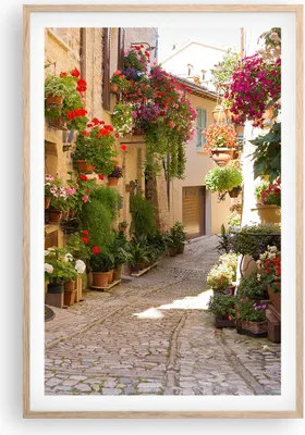 Produktbild von Gerahmtes Poster - Rahmen in heller Eiche - Blume Straße Haus - 61x91,5 cm - Wand Bild - Wanddeko - Wandbilder - Wandposter - Bilderrahmen - Bilder - Kunstdruck - Wandbild - P2NPA61x91-3586