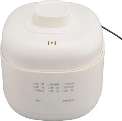 Zdjęcie produktu dla Mini garnek elektryczny do gotowania gulaszu 200W 1L Ceramiczny garnek do gotowania zupy i owsianki zapobiegający przypalaniu na sucho Mały wolnowar z pokrywką z timerem do kuchni domowej Wtyczka UE 220V