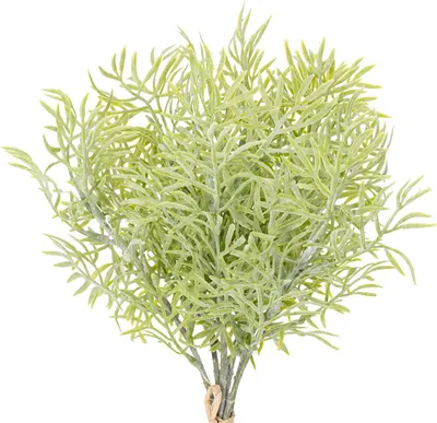 Produktbild von Zierspargel Dekozweig für stilvolle Blumenarrangements, 7 Stück