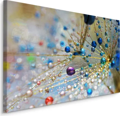 Zdjęcie produktu dla Obraz Dmuchawiec Kolorowe Krople Abstrakcyjna Przyroda Dekoracja do Sypialni z efektem 3D 90x60cm