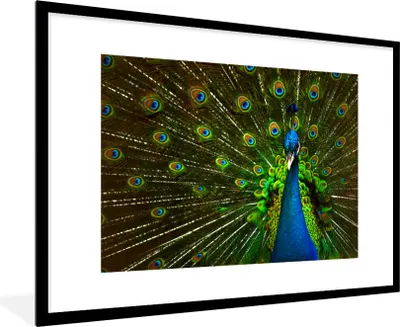 Produktbild von MuchoWow® Gerahmtes Poster Pfau - Federn - Muster - Blau 90x60 cm - Poster mit Schwarzem Bilderrahmen Wandposter Rahmen Foto Bilder - Wanddekoration - Fotos