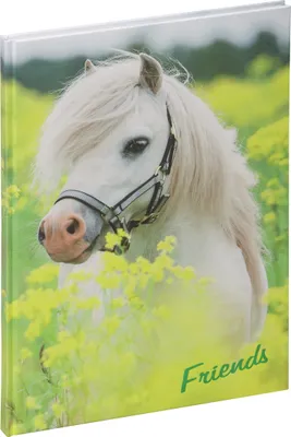 Immagine prodotto di PAGNA Libro degli amici "Little Pony", 120 g/m², 60 fogli