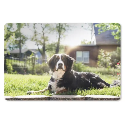 Produktbild von MuchoWow® Mauspad Mousepad Sonnenstrahlen entlang des Berner Sennenhundes 27x18 cm - Mousepads - Maus Mat - Pad - Mausunterlage - Büroartikel - Desk Matten