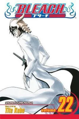 Obrázek produktu pro Bleach, Vol. 22