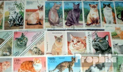 Produktbild von Briefmarken Motive 50 verschiedene Hauskatzen Marken