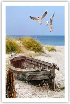 Produktbild von Poster - Poster ohne Rahmen - Strand Möwen £ódŸ - 61x91,5 cm - Wand Bild - Wanddeko - Wandbilder - Kunstposter - Wandposter - Bilder - Kunstdruck - Wanddekoration - Wandbild - P2XPA61x91-4170