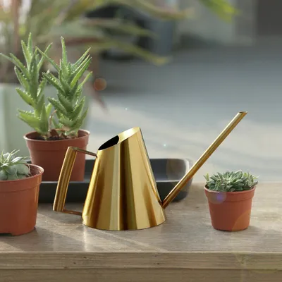 900ml Kleine Edelstahl Gießkanne Wasserkocher   Gartengießkanne Indoor Outdoor Pflanzen Auslauf Blumengießkanne Kessel (gold)