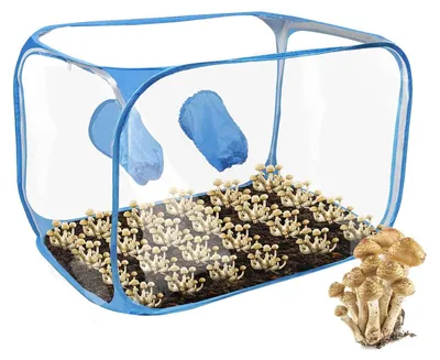 Image de Solidchoice - Kit de culture compact pour champignons