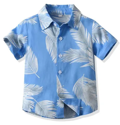 Produktbild von Hawaii-Hemden für Herren und Jungen für den Sommer