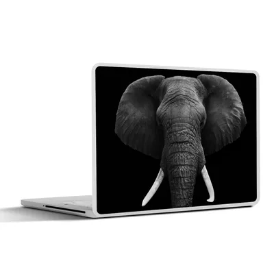 Produktbild von MuchoWow® Laptop Aufkleber Sticker Cover Elefant - Wildtiere - Schwarz - Weiß - Porträt 31x22.5 cm - Laptop-Deko