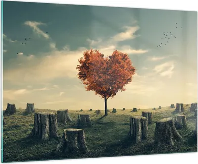 Produktbild von Bilder auf glas - Baum Natur Wiese - 100x70cm - Glasbilder - Wandbilder - Kunstdruck - zum Aufhängen bereit - Wanddekoration aus Glas - Glas Bilder - Wandbild auf Glas - Einteilig - GAA100x70-3751