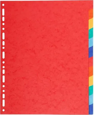 Immagine prodotto di Indice A4+ cartoncino manila 220g 12 pezzi vuoto colorato confezione da 25 pezzi