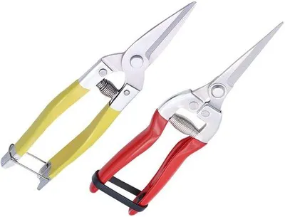 Produktbild von Gartenschere mit Mikromesser für präzises Beschneiden