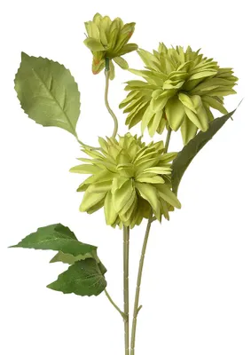 Produktbild von Clayre & Eef Kunstblume 70 cm Grün Kunststoff