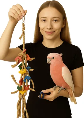 Produktbild von Buntes Papageienspielzeug aus Naturmaterialien - Colourful Braid für große Vögel