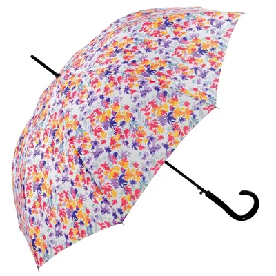 Productafbeelding van Pierre Cardin damesparaplu, automatisch, stokparaplu, motief "Fleur Printanière", beige