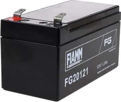 Image de FIAMM Batterie au plomb rechargeable FG20121